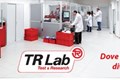 العجلات والأقواس
