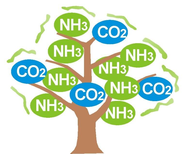 tree_nh3_co2