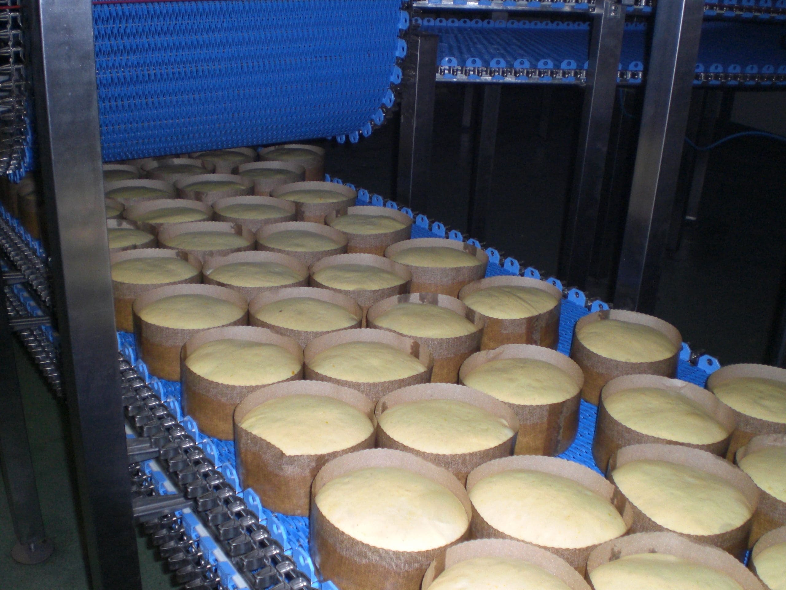 Leavening plants food industry Blog