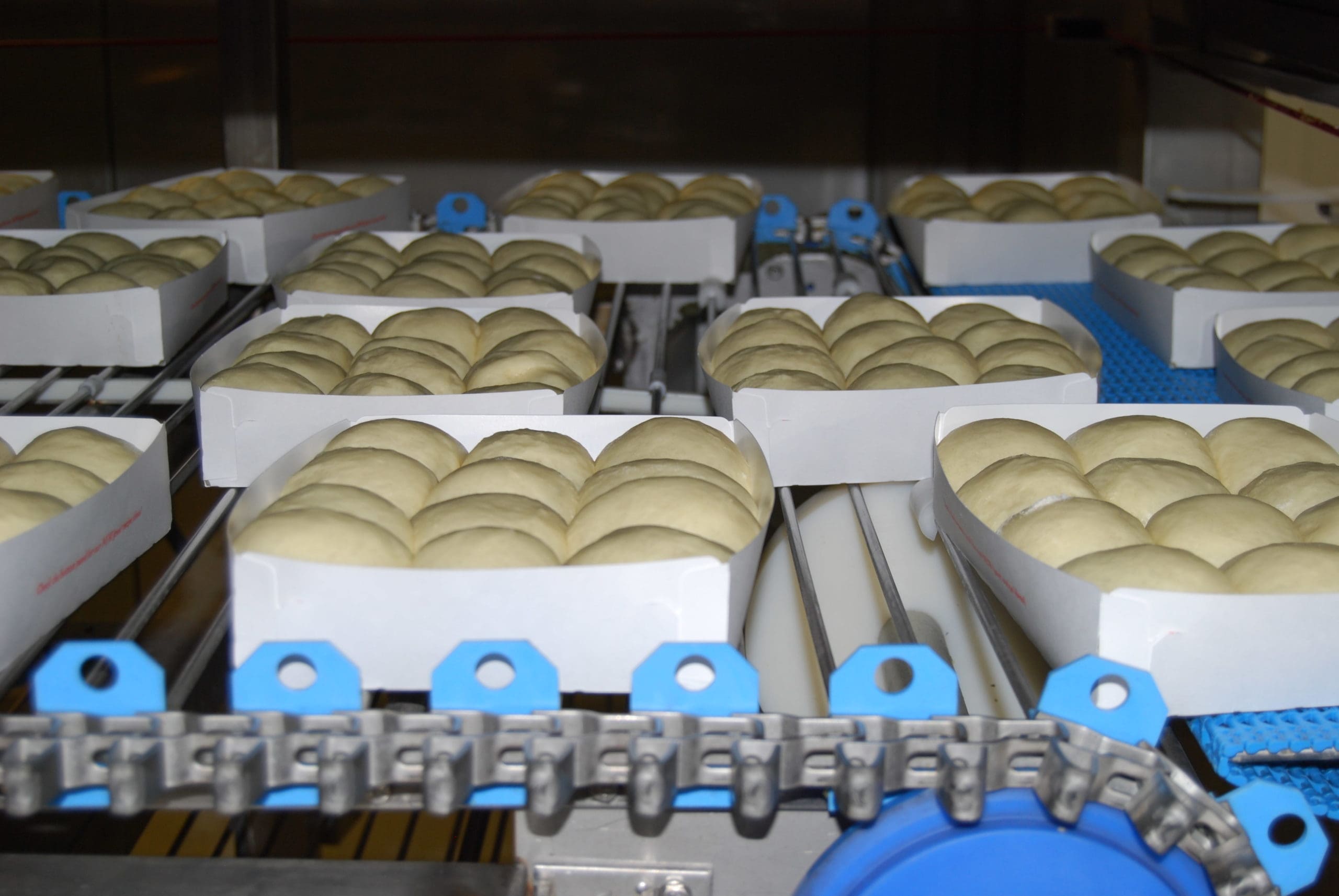 Leavening plants food industry Blog