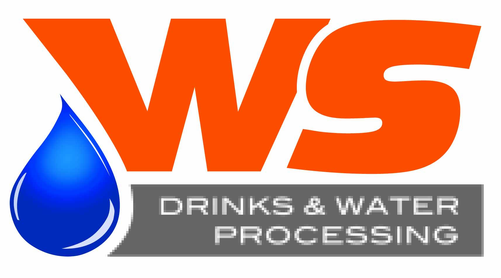 logo WS