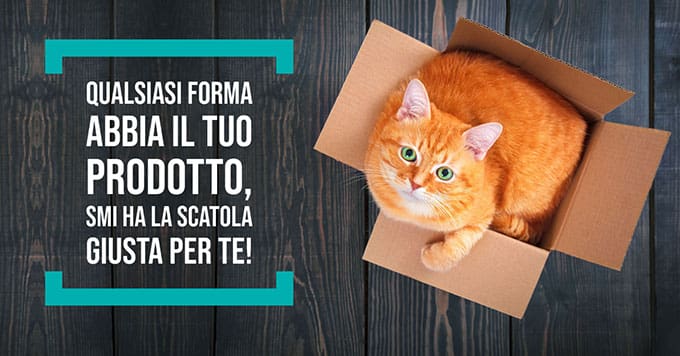 acp-banner-cat-red-it