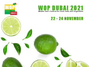 wop-Dubai