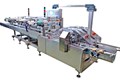 CASE-PACKING MACHINE