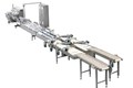 ORIZONTAL FORM FILL SEAL FLOW WRAPPERS
