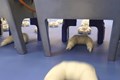 CROISSANT PRODUCTION LINES