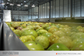 FRUIT PROCESSING MACHINES