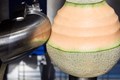 MANUAL WATERMELON SLICER