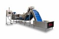 VEGETABLE PROCESSING
