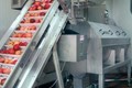 MACHINES POUR LES FRUITS ET LÉGUMES, INDUSTRIE