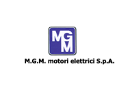 MGM MOTORI ELETTRICI SPA