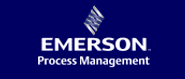 Emerson Process Mangement