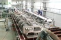 DENOCCIOLATURA PER PROCESSI DI LAVORAZIONE FRUTTA
