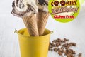 INGREDIENTI E SEMILAVORATI PER GELATO E PASTICCERIA