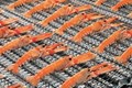IMPIANTI DI REFRIGERAZIONE FRUTTA